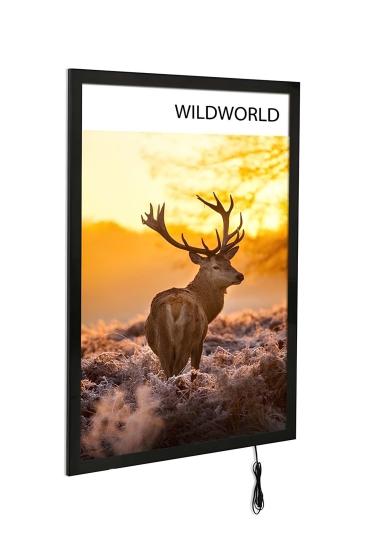 Magneco Led Light Box Tek Taraflı